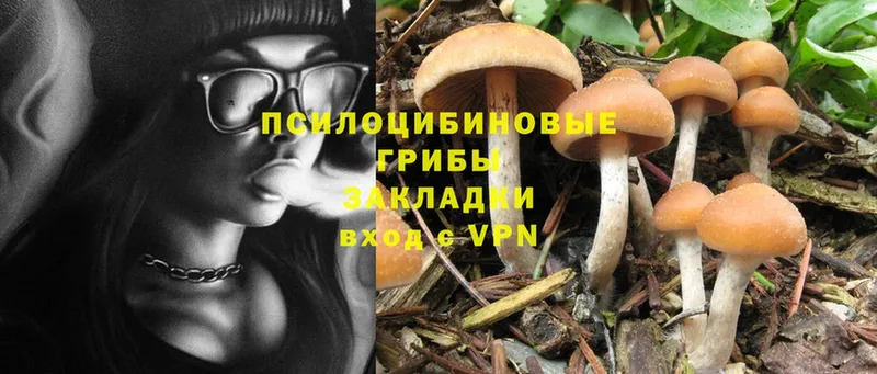 Галлюциногенные грибы Magic Shrooms  цены   Курск 