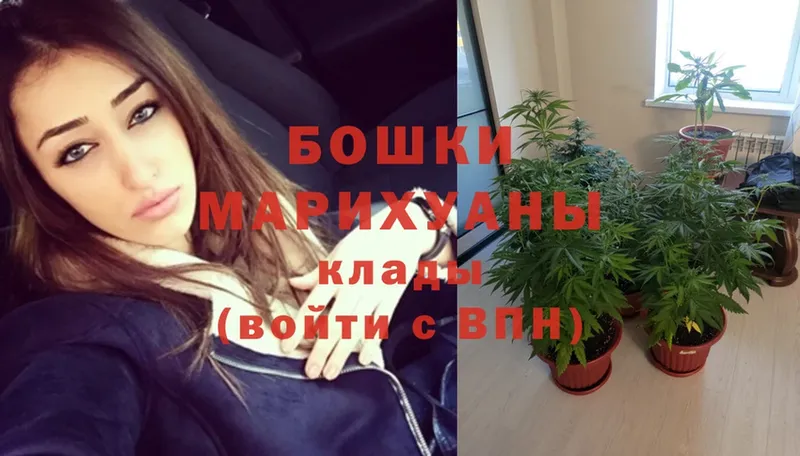 Каннабис марихуана  наркотики  Курск 